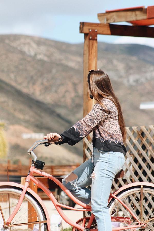 Quintas Marlet En La Ruta Del Vino Ensenada Bagian luar foto