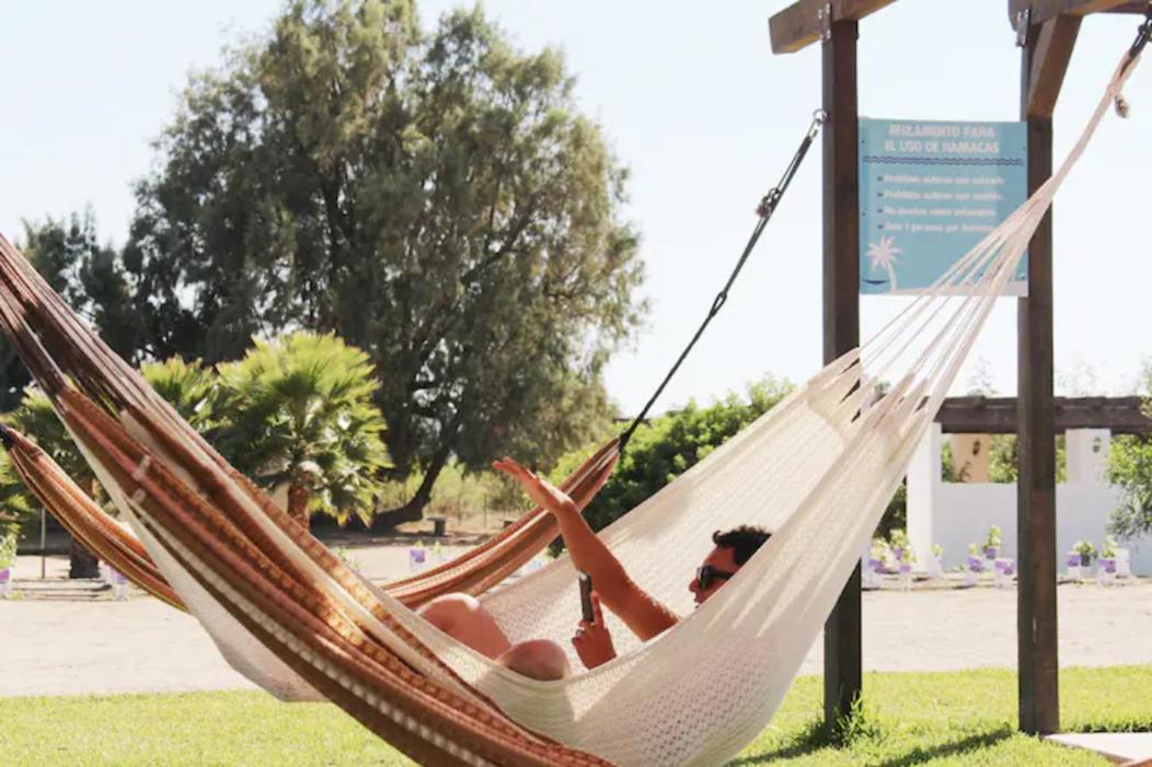 Quintas Marlet En La Ruta Del Vino Ensenada Bagian luar foto