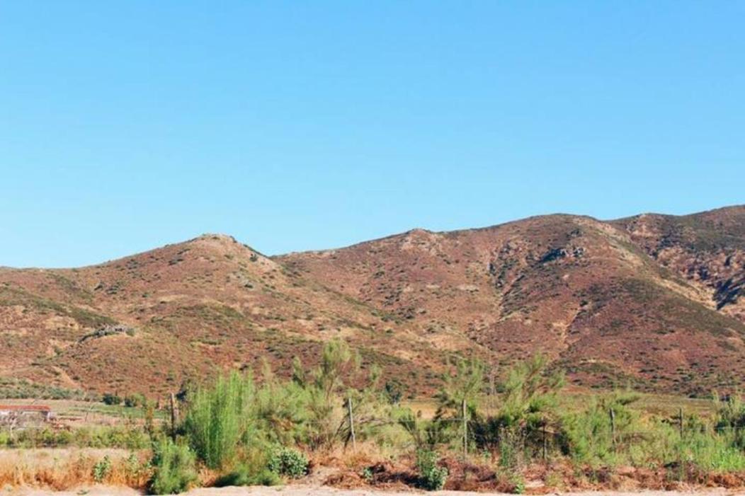 Quintas Marlet En La Ruta Del Vino Ensenada Bagian luar foto